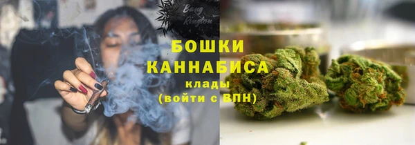 гашик Бронницы