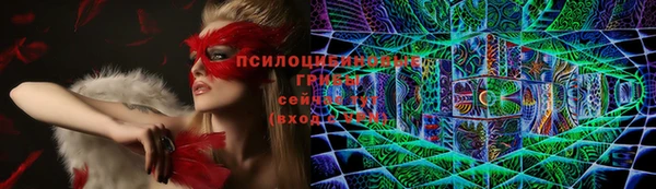гашик Бронницы
